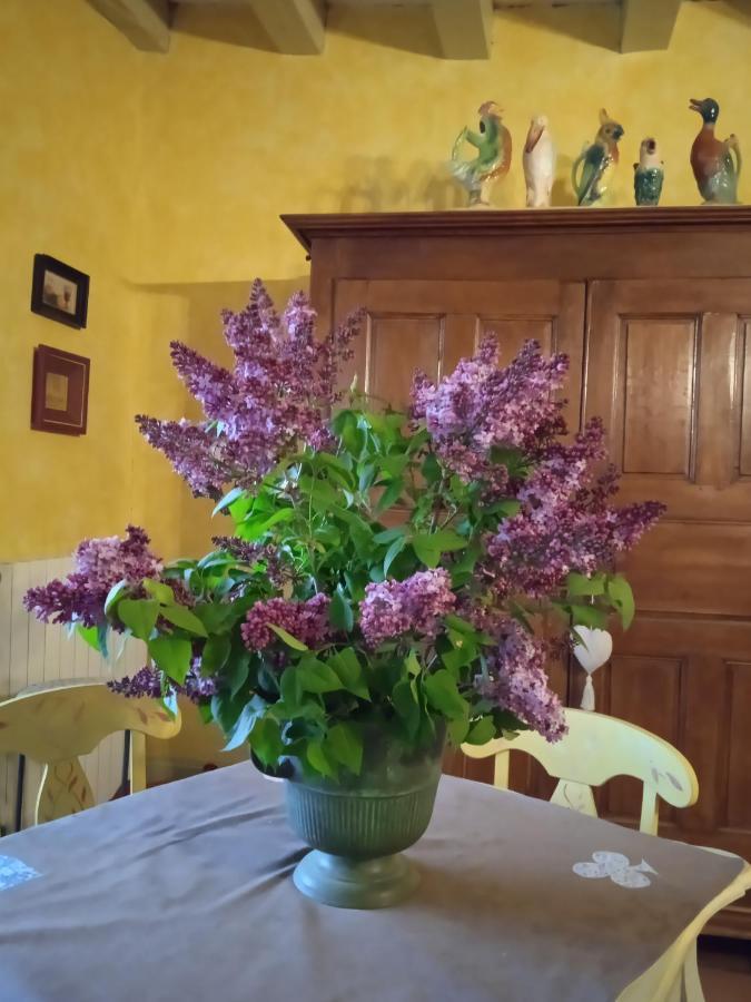Chambre Dans Prieure De Caractere XVIII Siecle Planioles Kültér fotó